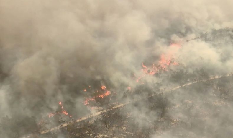 Kebakaran Hutan Ancam Permukiman Warga di Situs Warisan Dunia Pulau Fraser Australia
