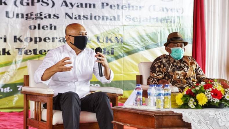 Pertama di Indonesia, Koperasi di Subang Masuk Bisnis Bibit Ayam