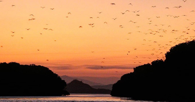 5 Spot Terindah Berburu Sunset di Flores, Nomor 2 Eksotis Dihuni Banyak Kelelawar