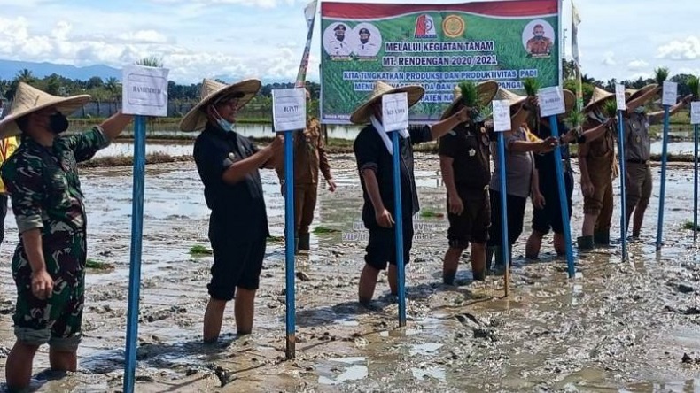 Tingkatkan Ketahanan Pangan, Pemkab Nagan Raya Naikkan Target Produksi Padi 2021