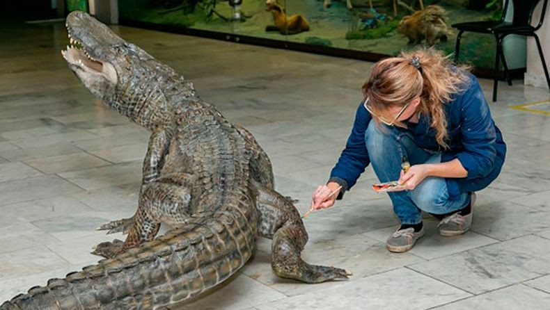 Buaya Milik Adolf Hitler yang Mati di Usia 84 Tahun Diawetkan, Jadi Koleksi Museum Rusia