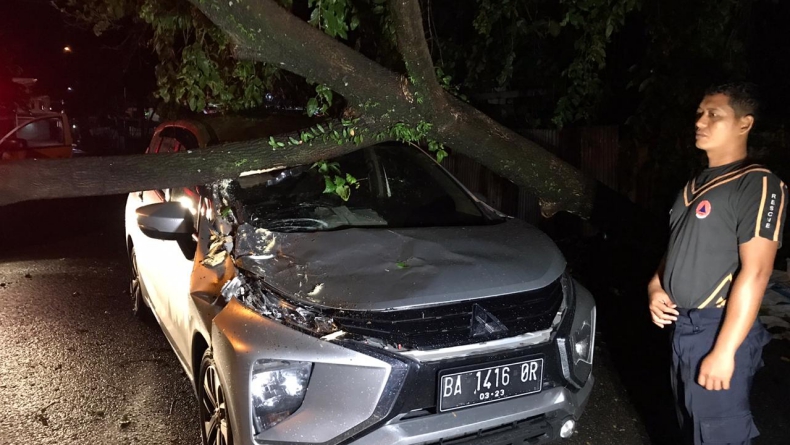 Tertimpa Pohon Tumbang, Mobil Xpander Milik Warga Padang Ringsek