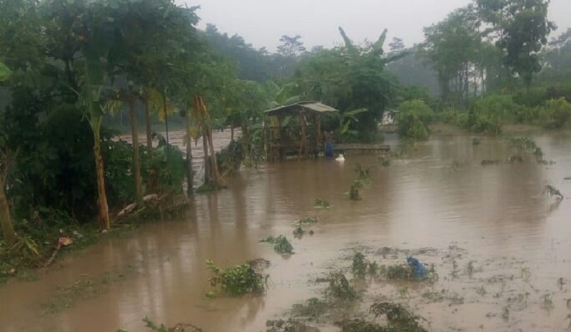 Banjir Bandang Terjang Blitar, Jembatan Putus Puluhan Hektare Sawah Terendam 
