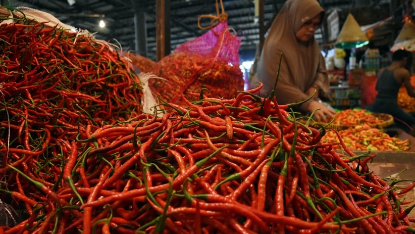 Harga Cabai Melonjak, Begini Respons Kementan