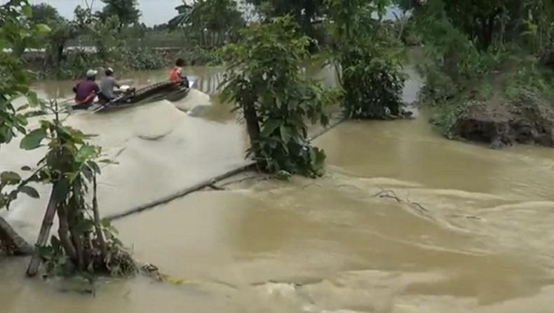 Cuaca Ekstrem di Lamongan akibatkan Tanggul Jebol, Belasan Hektare Tambak Terendam Banjir 