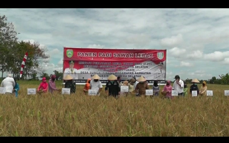 Sumsel Target 3 Besar Penghasil Besar Nasional, Ini Tanggapan BUMN Pupuk 
