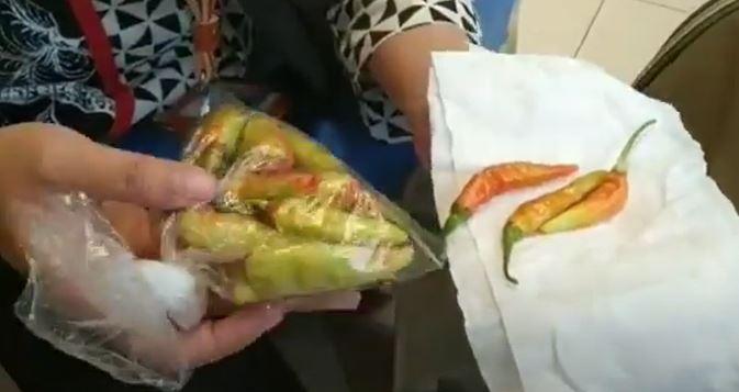  Cabai Bercat Beredar di Purwokerto, Diduga dari Temanggung 