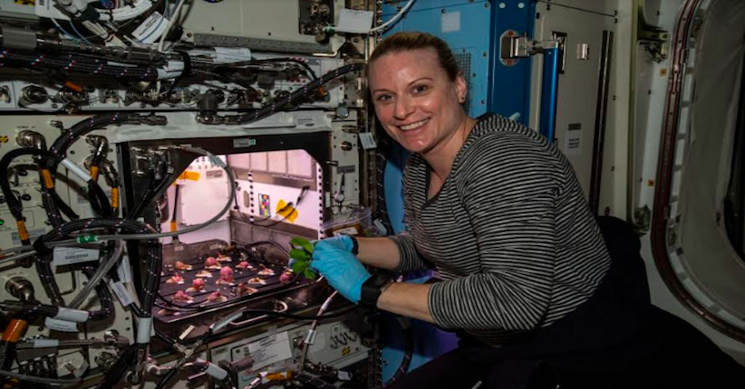 Astronot NASA Panen Lobak di Luar Angkasa