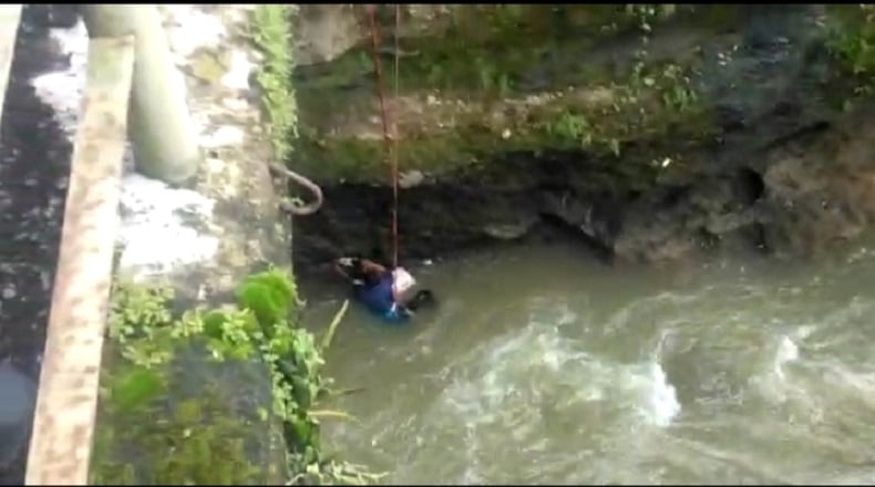 Cerita Dramatis Damkar Bogor Selamatkan Kucing Peliharaan Jatuh ke Sungai Ciliwung