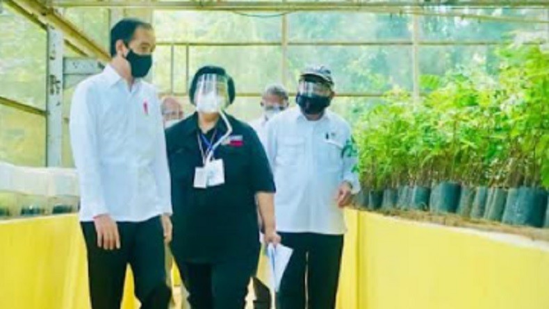 Tinjau Pembangunan Pusat Pembenihan di Bogor, Jokowi: Bisa Produksi 16 Juta Bibit