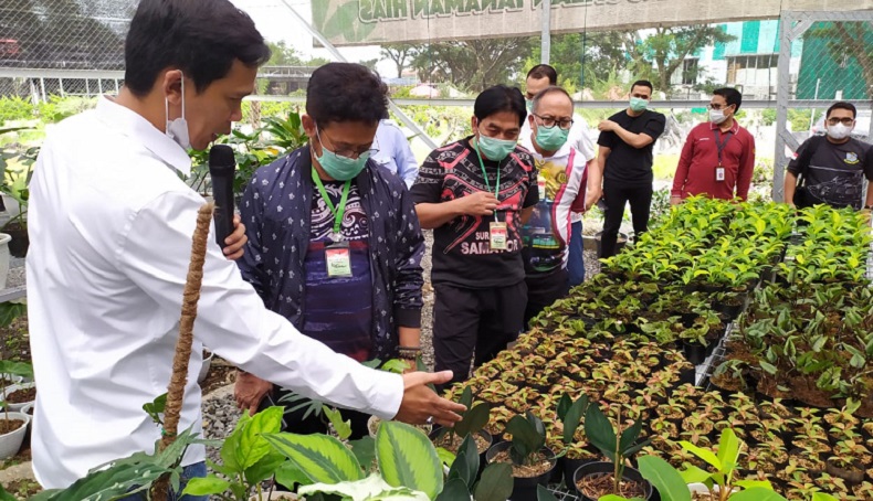 Mentan Syahrul Yasin Limpo Kaget Harga Janda Bolong Bisa Tembus Ratusan Juta