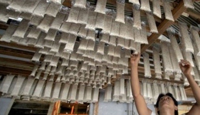 Perajin Tahu dan Tempe Minta Harga Naik, Pedagang Pilih Perkecil Ukuran