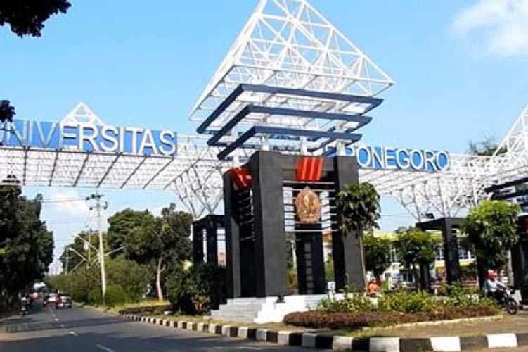 Undip Buka Lowongan Kerja untuk Dosen, Ini Syarat dan Cara Daftarnya