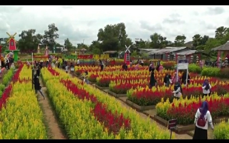 Taman Celosia, Spot Instagramable Terbaru di Pinggiran Palembang 