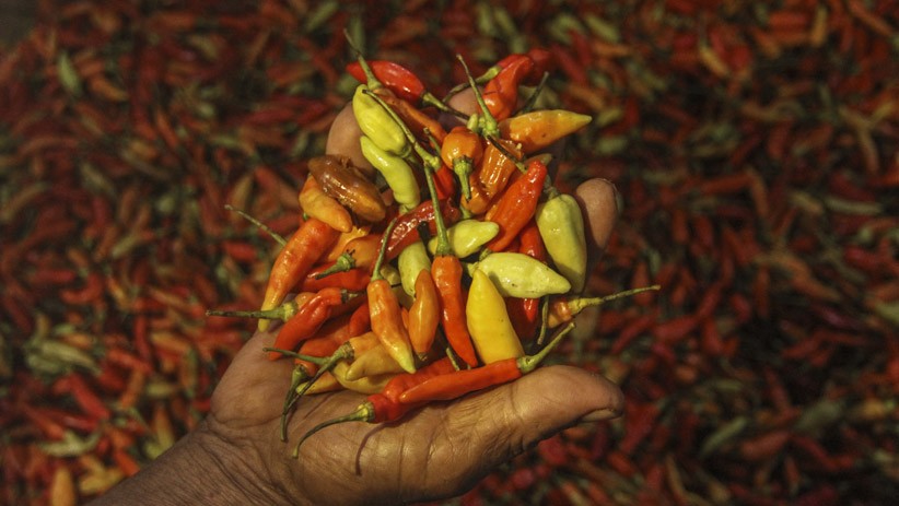 Selain Tempe, Harga Cabai di Pontianak Juga Meroket hingga Rp100.000/Kg