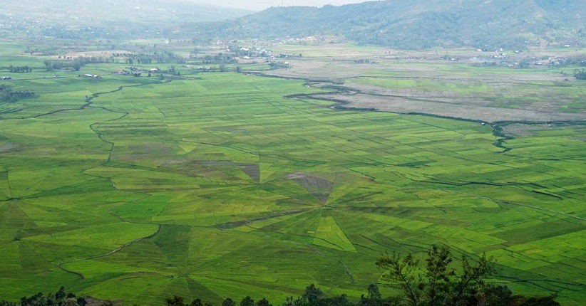 Mengintip Keindahan Wisata Lingko Meler, Persawahan di NTT Mirip Sarang Laba-Laba