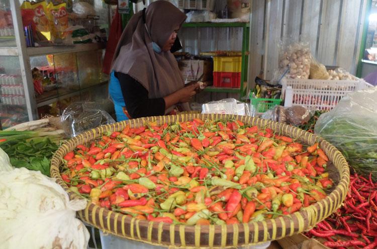 Harga Cabai di Kulonprogo Kian Pedas, Kenaikan Harga Tak Wajar