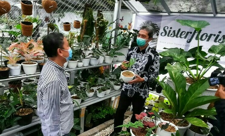 Penggemar Tanaman Hias Naik saat Pandemi, Pemkot Bogor Gelar Pameran