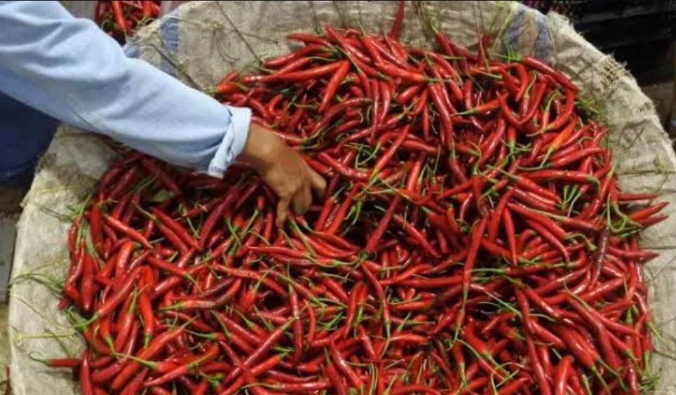 Harga Cabai Mahal, Mendag Siapkan Teknologi Penyimpanan Bahan Pokok 