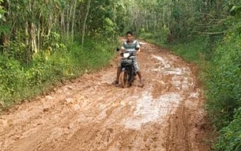 Warga Bengkuang Banyuasin Keluhkan Jalan Rusak dan Berlumpur