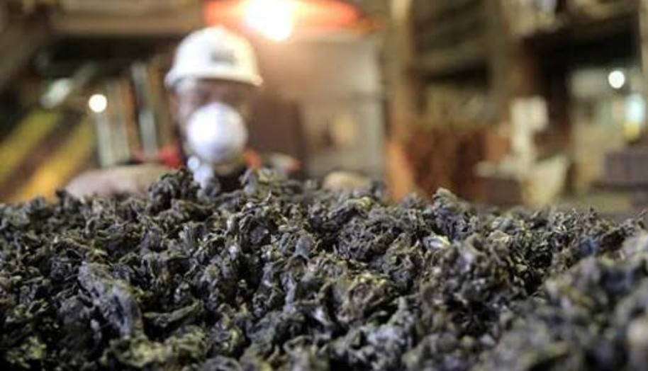 Sengketa Ekspor Biji Nikel, Indonesia Siap Hadapi Tuntutan Uni Eropa di WTO 