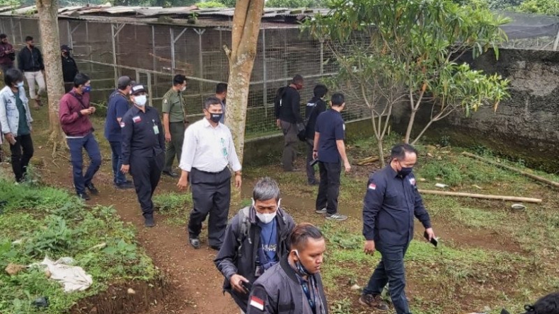 Bareskrim Bongkar Peredaran Satwa Dilindungi di Sukabumi, Ratusan Burung Disita