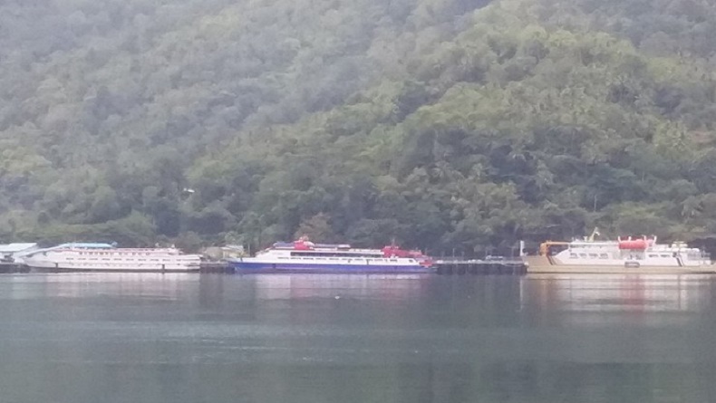 Selama Libur Natal dan Tahun Baru, Kapasitas Angkutan Umum dan Penyeberangan Hanya 75 Persen   