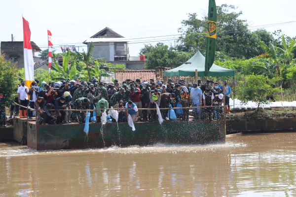 Ridwan Kamil Sebut Sungai Citarum Tercemar Ringan, bjb Tebar Ikan di Sektor 6
