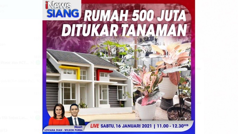 iNews Siang Live di iNews dan RCTI+ Sabtu Pukul 11.00: Rumah Rp500 Juta Ditukar Tanaman Hias