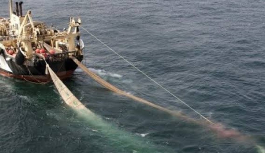 KKP Kembali Izinkan Cantrang Beroperasi, Ini Syaratnya 