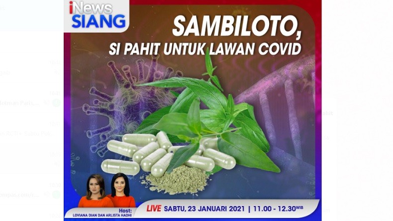 iNews Siang Live di iNews dan RCTI+ Sabtu Pukul 11.00: Sambiloto, Si Pahit untuk Lawan Covid