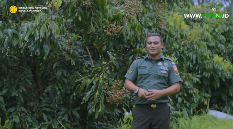 Awal Prajurit TNI Mugiyanto Jadi Petani Sukses walau dengan Satu Kaki