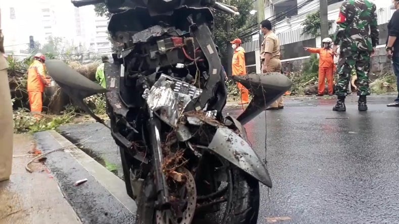 Tertimpa Pohon Tumbang di Kebayoran Baru, Motor Pengemudi Ojol Rusak Parah