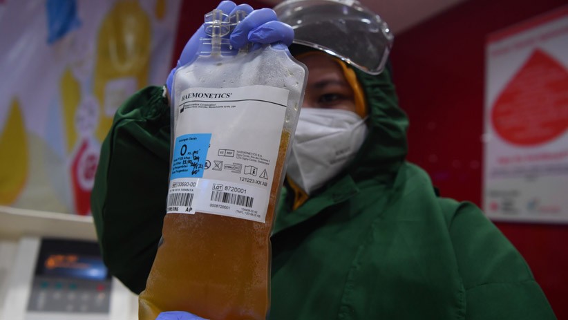 Satgas: Plasma Konvalesen hingga Ivermectin Dihapus dari Pedoman Pengobatan Covid-19