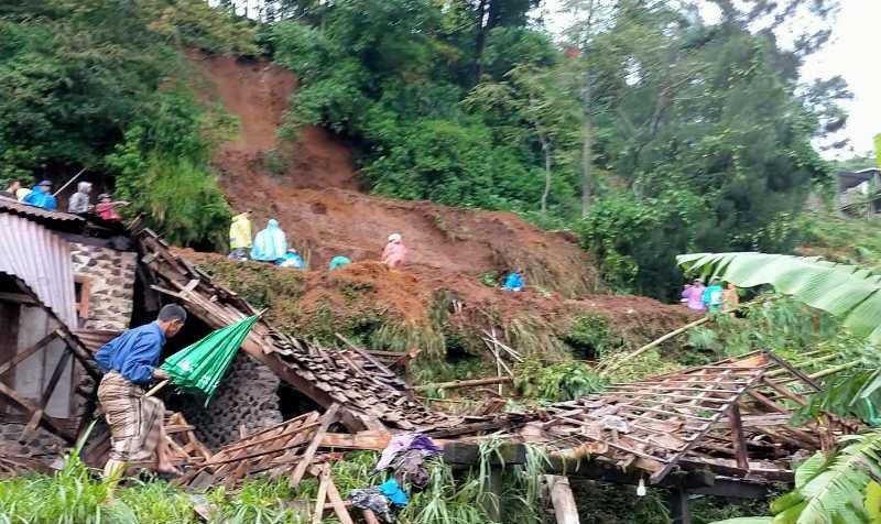Tebing 25 Meter Longsor Timpa 3 Rumah dan Kandang  Ternak