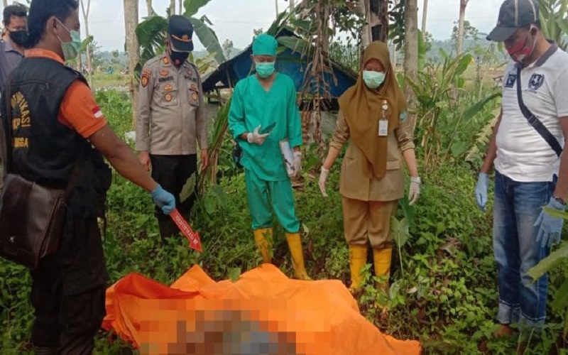 Mayat Perempuan Tanpa Identitas Ditemukan di Gubuk Persawahan Purbalingga