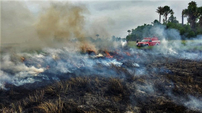Badan Penanggulangan Bencana Aceh Catat Luas Lahan Terbakar Capai 107 Hektare
