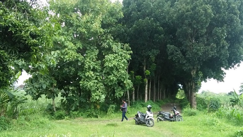 Bak Film Thriller, Remaja Cantik Ini Lompat dari Motor dan Lawan Pria yang Akan Memerkosanya
