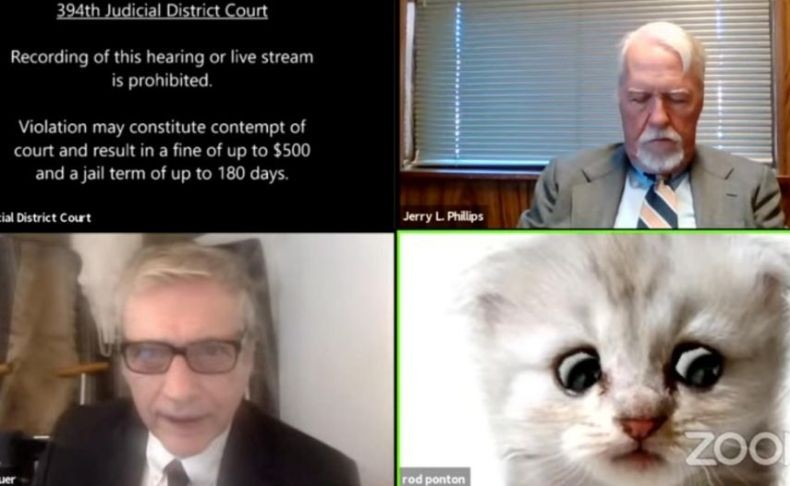 Kocak, Pengacara Ini Tak Tahu Cara Menghapus Foto Kucing di Layar Zoom saat Sidang Live