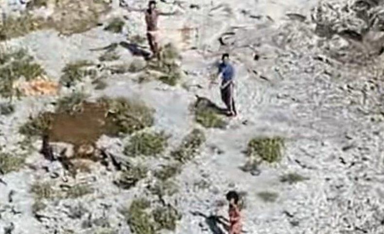 3 Orang Terdampar di Pulau Tak Berpenghuni Sebulan, Bertahan Hidup dengan Kelapa