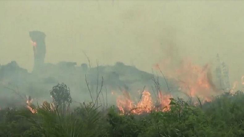 Jambi Tetapkan Siaga Darurat Karhutla Hingga Akhir Oktober