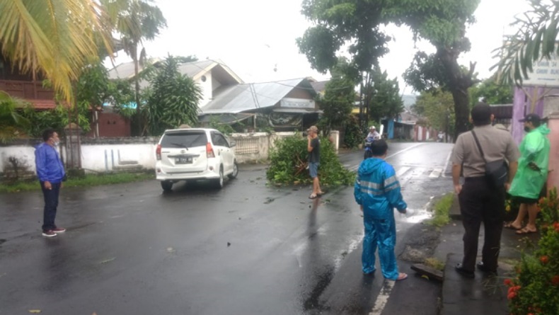Hujan dan Angin Kencang di Manado, Pohon Tumbang Lokasi Ini 