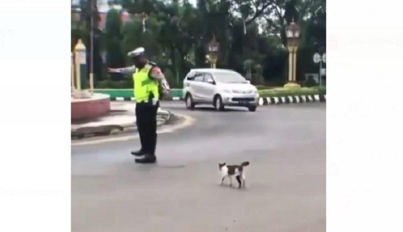 Viral Polisi Bantu Kucing Menyeberang Jalan, Eks Menteri Jokowi Beri Applause 