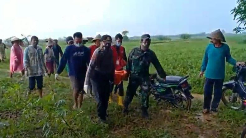 Tiga Petani Tersambar Petir saat Tanam Semangka di Jepara,  Dua Tewas  
