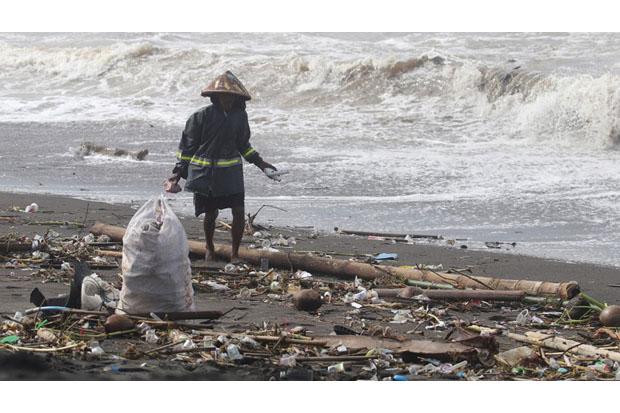  Gara-Gara Peternakan Ayam, Pantai Trisik Sulit Dikembangkan