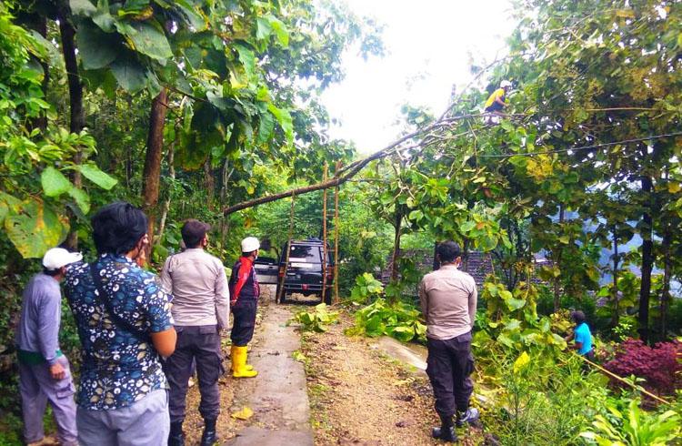 Tower Internet Setinggi 48 Meter di SMP 3 Saptosari Ambruk, Timba Atap Sekolah