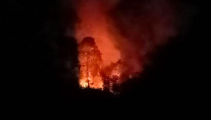 Bukit Bungus Padang Terbakar, Petugas Kewalahan Padamkan Api