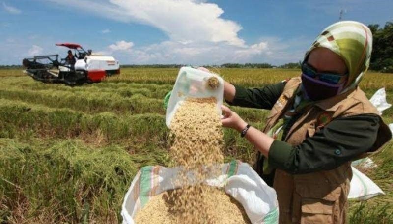 BCA Sasar Pembiayaan Sektor Pertanian 