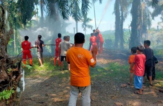 Kebun Sawit di Agam Terbakar Diduga akibat Cuaca Panas