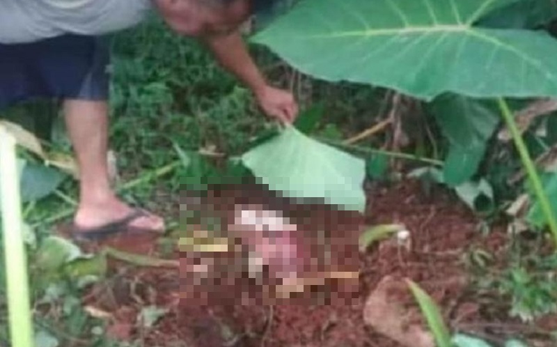 Asyik Kejar Layangan, Warga Cibinong Kaget Temukan Jasad Bayi Terkubur di Kebun